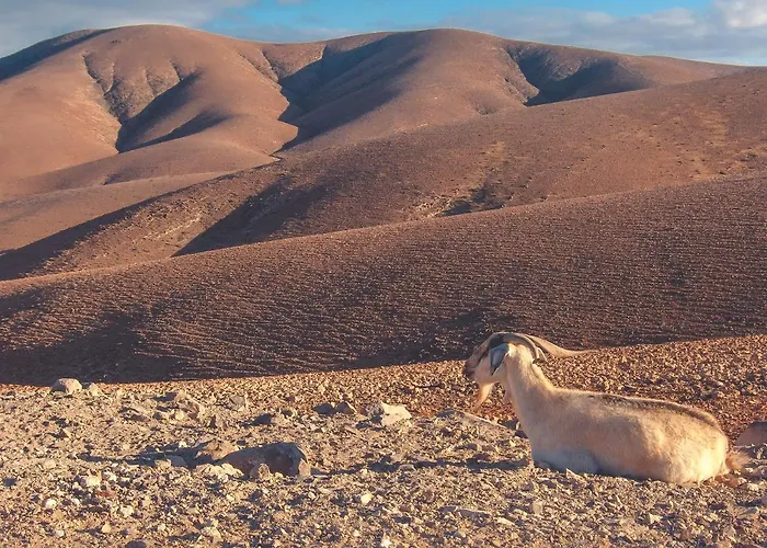 - Agua - Surf & Yoga * 라 파레드